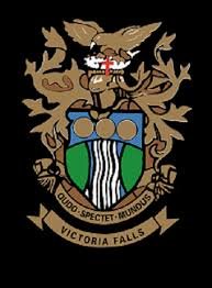 City of Victoria Falls Logo